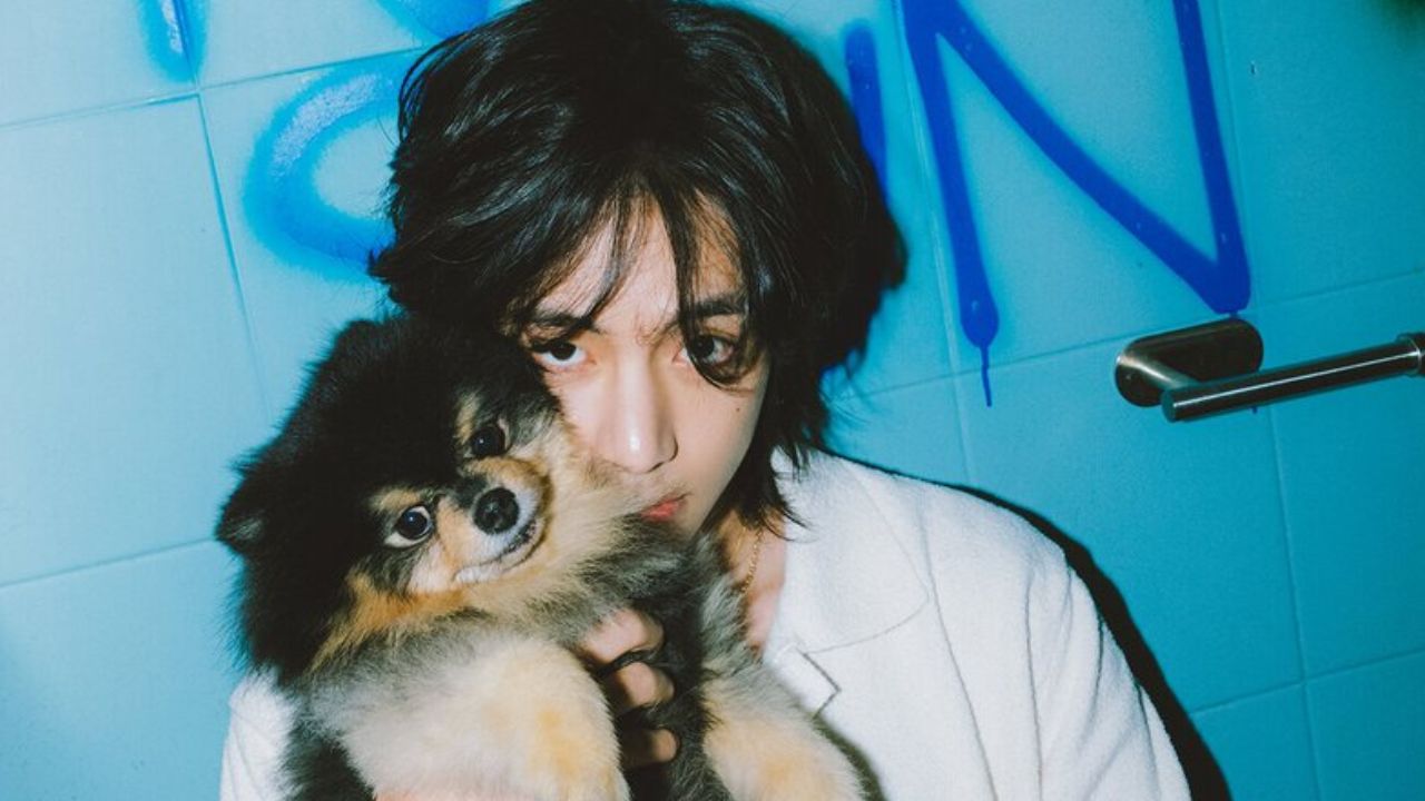 Quais são os pets dos membros do BTS?
